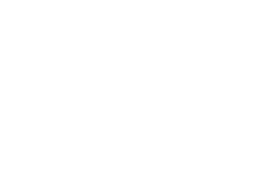 The Shipping Store Logo